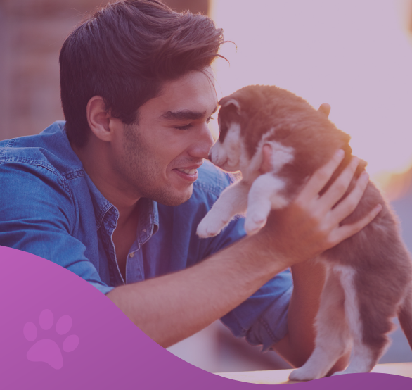 planes de salud perro cachorro los molinos