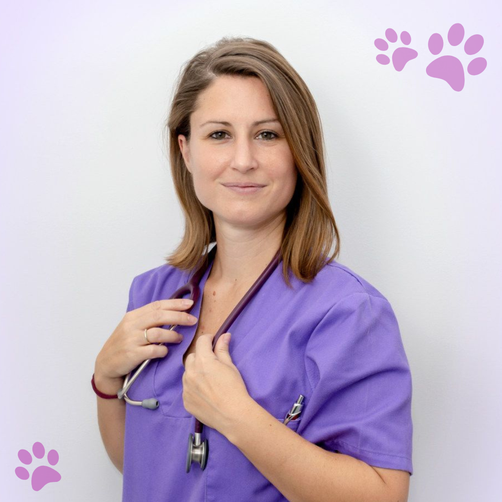 equipo veterinario Los Molinos Sonia Peláez