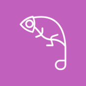 Hover Image