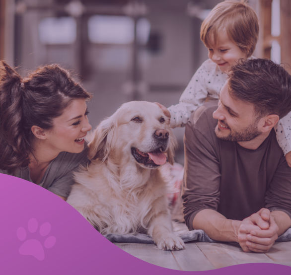 planes de salud perro premium los molinos