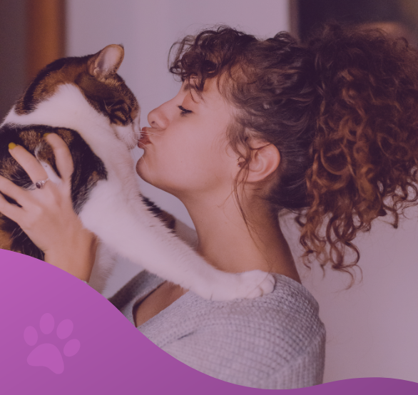 plan de salud gato adulto los molinos